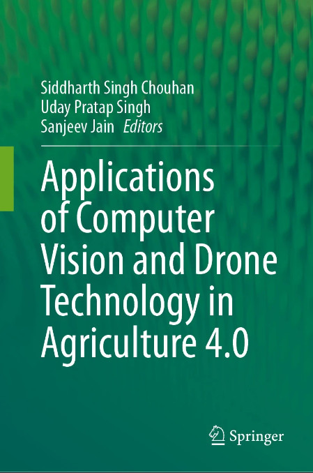 Efficient Patch-Wise Crop Detection Algorithm for UAV-Generated Orthomosaic